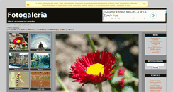 Desktop Screenshot of efotogaleria.pl