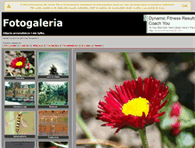 Tablet Screenshot of efotogaleria.pl